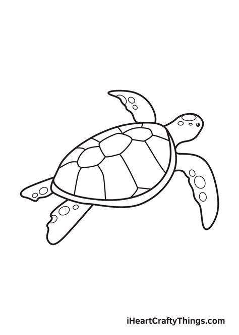 Sea Turtle Drawing — How To Draw A Sea Turtle Step By Step