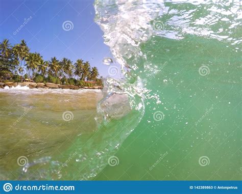 Tropical Beach With Palm Trees And Ocean Wave Stock Image Image Of