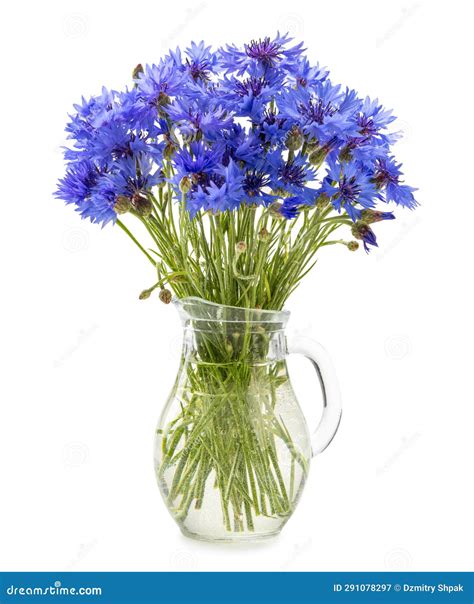 Beautiful Bouquet Of Cornflowers In Vase Isolated On White Stock Image
