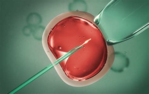 How Does Ivf Work When Using An Egg Donor Reproductive Medicine And Infertility Associates