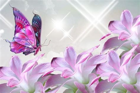 Pink Butterfly Backgrounds ·① Wallpapertag