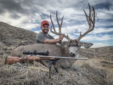 Wyoming Mule Mule Hunting Deer Hunting At Big Horn Outfitters Trophy Bucks Organic Articles