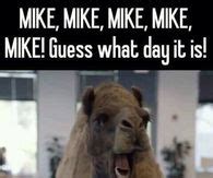 Wednesday Camel Memes