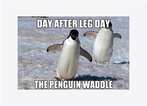 10 Hilarious After Leg Day Memes For People Who Dont Skip It Do You