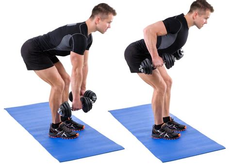 The Best Dumbbell Back Exercises And Workouts Fitness Volt