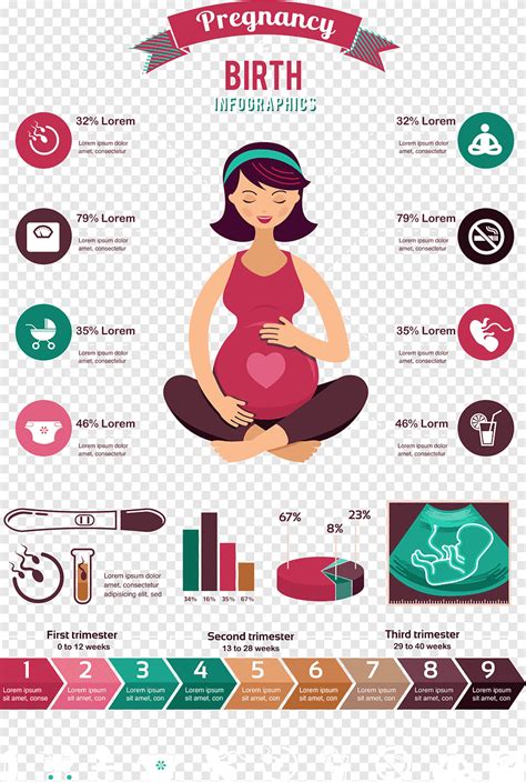 Pregnancy And Birth Infographics Pregnancy Infographic Computer File Pregnant Women Living