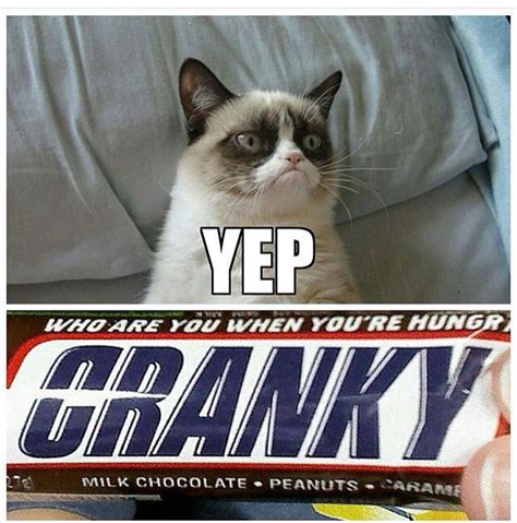 Cranky Yep Funny Grumpy Cat Memes Grumpy Cat Humor Grumpy Cat Meme