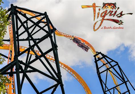 Busch Gardens Tampa to Open Tigris in 2019, Florida’s Tallest Launch