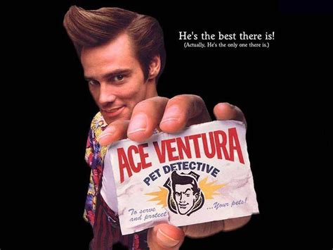Ace Ventura : pet detective (1994) ~ Boxoffice - online