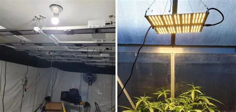 How To Hang Grow Lights In Tent 7 Easy Processes 2023