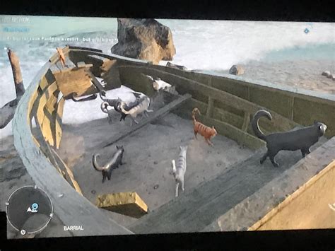 So I Found A Boat Full Of Shipwrecked Cats And An Sos Message Location