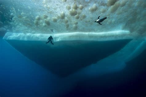 These Photos Will Easily Trigger Your Thalassophobia So Be Warned
