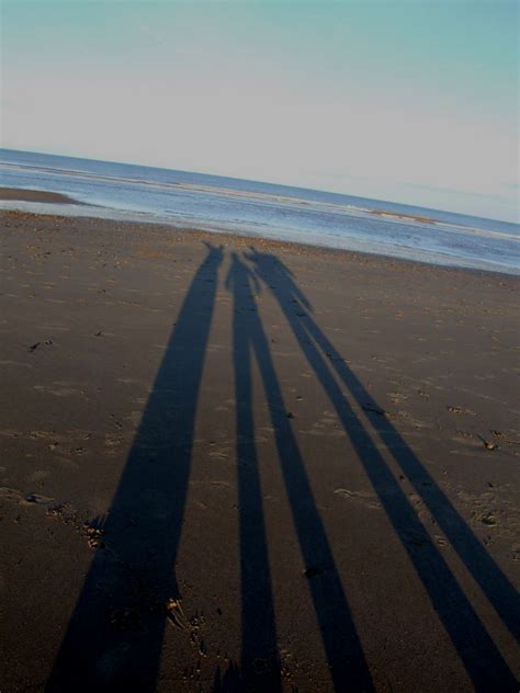 Shadows On The Beach Photo