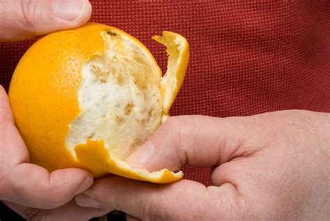 Peeling An Orange Clementine Lime Or Lemon Is A Great Activity For