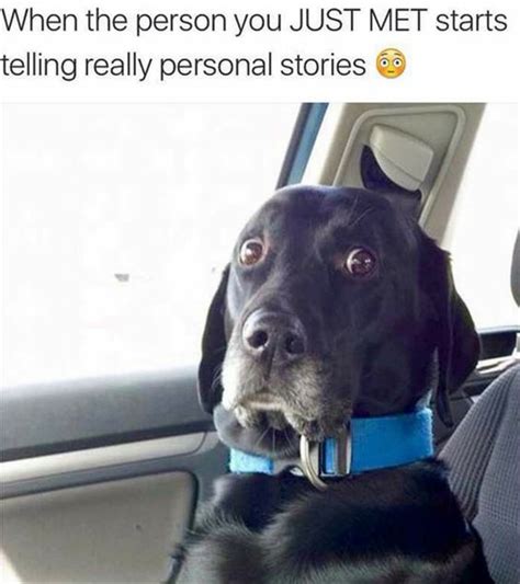 We have put together hilarious hump day memes for your pleasure; Make Me Laugh Wednesday - Chris Cannon