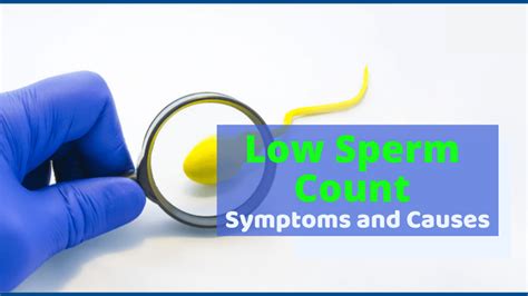 Low Sperm Count Low Sperm Count Symptoms And Causes