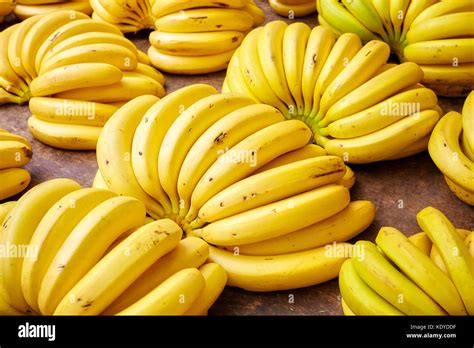 Banana Bunches Hi Res Stock Photography And Images Alamy