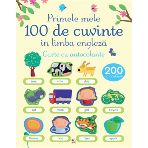 Primele Mele 100 De Cuvinte în Limba Engleză Carte Cu Autocolante
