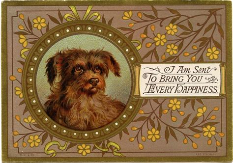 Vintage Dog Image Terrier Vintage Dog Vintage Prints Vintage Cards