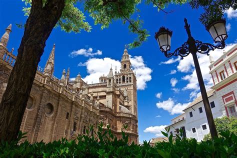 Descubriendo La Catedral De Sevilla Toursevilla