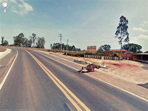Google street view is a technology featured in google maps and google earth that provides interactive panoramas from positions along many streets in the world. 80 funny, creepy, strange, disturbing Google Street View ...
