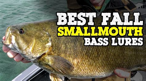 Top 5 Fall Smallmouth Bass Lures YouTube
