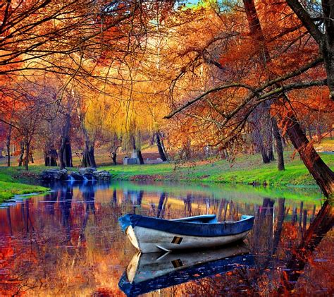 Landscape Autumn Tree Lake Wallpaper 1600x1422 1060871 Wallpaperup