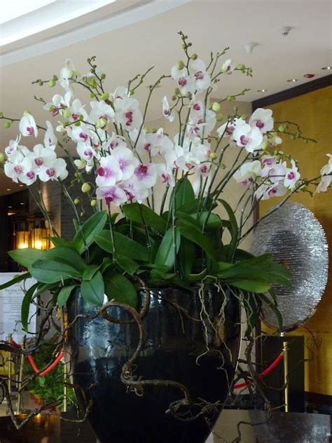 Orchid Arrangement For Hotel Lobby Orchid Arrangements Hotel Flower
