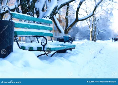 Bench Covered Snow Winter Park Stock Photo Image Of Nature Forest