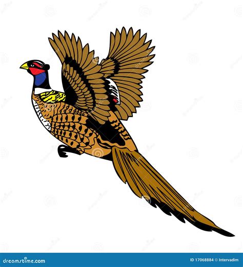 Flying Pheasant Clip Art