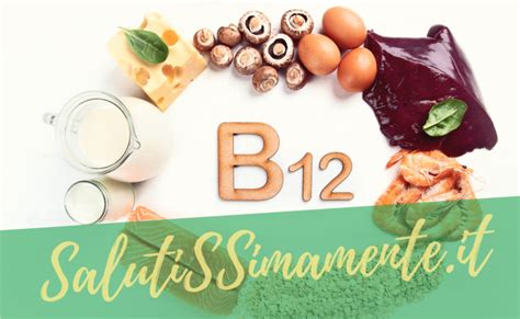 La vitamina b12 è particolarmente importante poiché contribuisce a processi biochimici quali il funzionamento del sistema nervoso e la formazione dei. Vitamina B12 dove si trova? Scopriamolo insieme ...