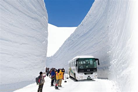 Tateyama Kurobe Una Carretera Entre Paredes De Nieve