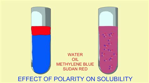 Effects Of Polarity On Solubility Youtube