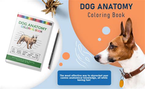 Dog Anatomy Coloring Book Veterinary Anatomy And Animal Physiology