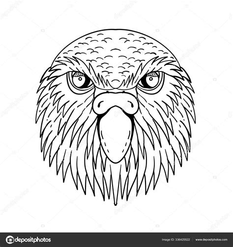 Burung ini hanya bisa dijumpai di beberapa wilayah, diantarany. Lukisan Hitam Putih Kepala Burung / Black And White Owl ...