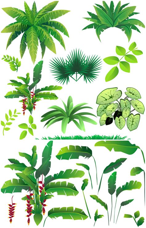 13 Plants And Grass Vector Images Jungle Plants Clip Art
