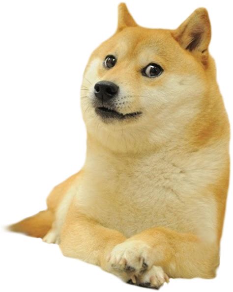 Doge Meme Template