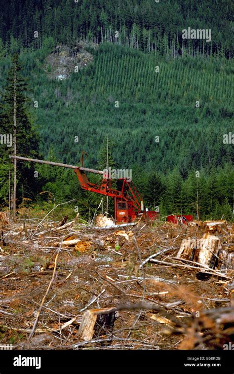 Active Logging And Reforestation On Vancouver Island Bc British