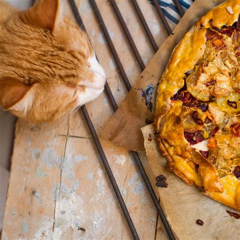 Does your feline friend need it? Can Cats Eat Potatoes? How About Sweet Potatoes? - Catster