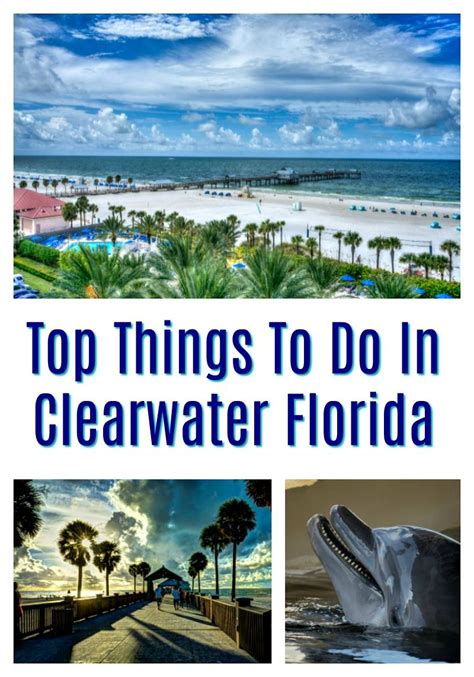 Top Things To Do In Clearwater Florida Artofit