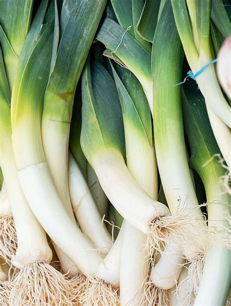 A Guide To Leeks Including Baby Leeks Ramps And Chinese Leeks