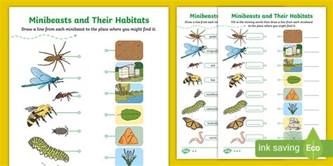Minibeasts Habitats Worksheet Teaching Resources