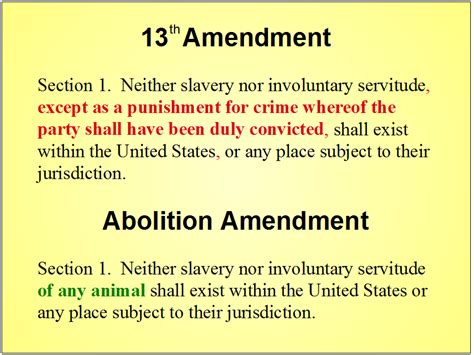 13th Amendment And Abolition Amendment Compared Humane Party Images