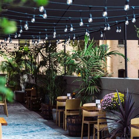 Maybe you would like to learn more about one of these? This Beautiful Rooftop 'Greenhouse' Is Open For Indoor ...