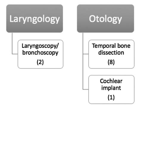 Surgical Procedures And Fields Of Otorhinolaryngology Head And Neck