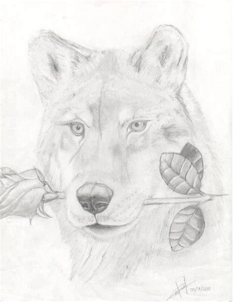 Wolf With Rose By Jorgedelacruz On Deviantart