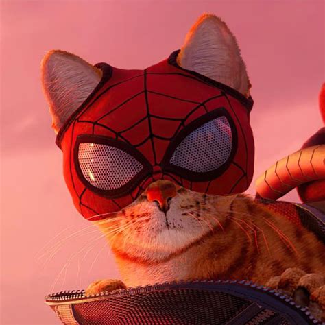 Video Game Marvels Spider Man Miles Morales Cat Pfp Pretty Cats