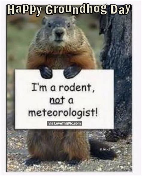 Happy Groundhog Day Funny Quote Happy Groundhog Day Groundhog Day