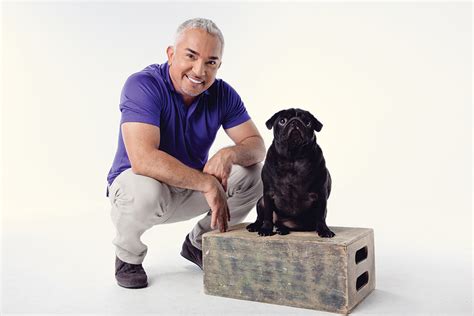 Famed dog trainer and tv personality cesar millan says he has reached out to the white house to offer his services after one of the first dogs had another biting incident. Dog Whisperer Cesar Millan Shares His Canine Wisdom ...