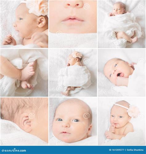 Collage Of Different Parts Of Baby Body Stock Image Image Of Hands